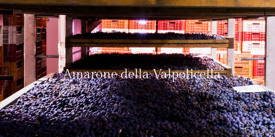 Amarone della Valpolicella – vinen, der taler til sanserne