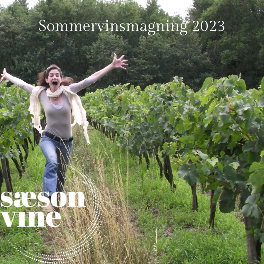 Verdens Hyggeligste Sommervinsmagning på Hereford Beefstouw onsdag d. 28. juni 2023